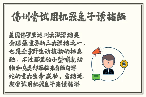 欧洲最强rapper免费高清